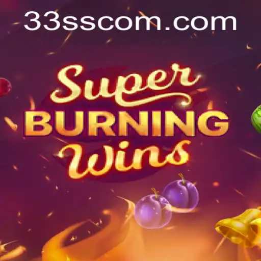 33ss.com Privacy Policy